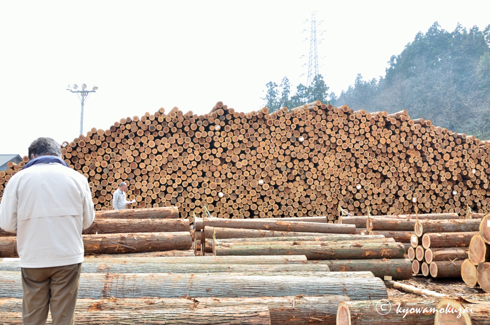 原木市場　共和木材